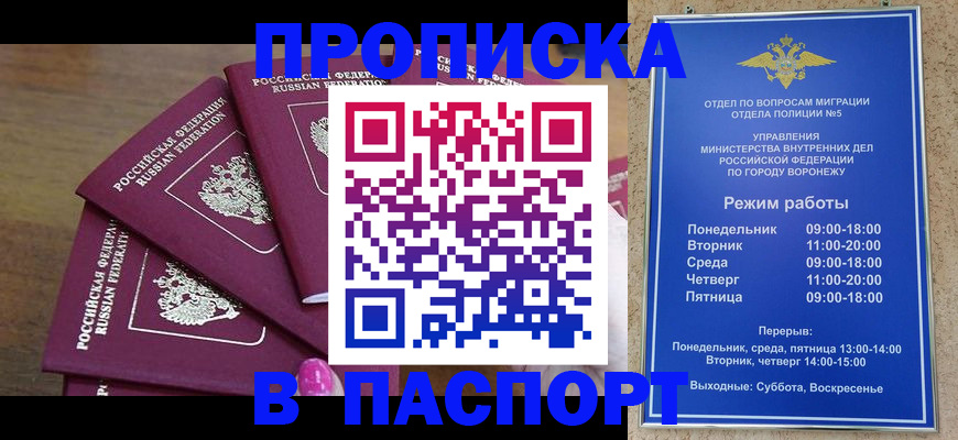 где прописаться в Михайлове
